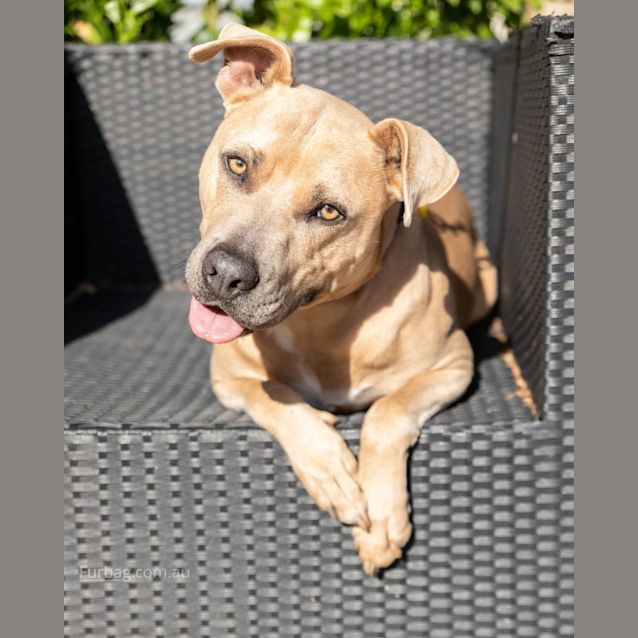 Photo of Theo Dl2545