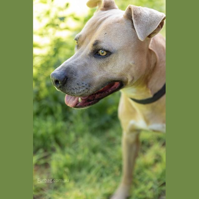 Photo of Theo Dl2545