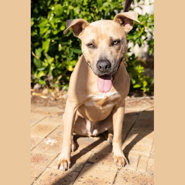 Photo of Theo Dl2545