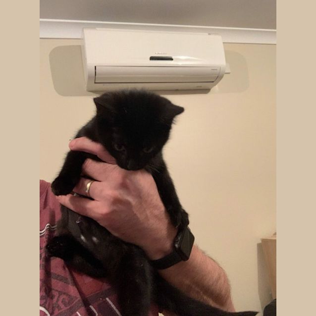 Photo of Iris ~ Meet Me @ Pet Stock Mornington Central ❤️