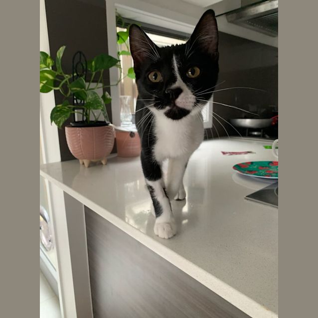 Photo of Mack And Spicy