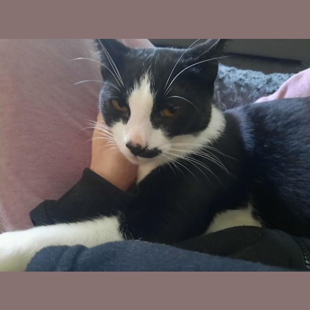 Photo of Penelope (Penny)