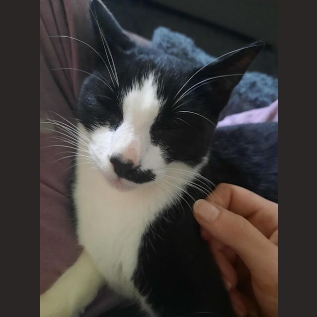 Photo of Penelope (Penny)