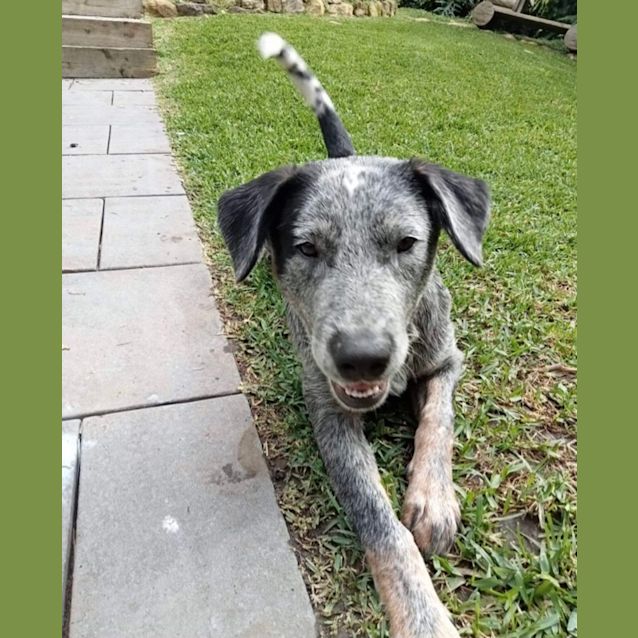 Photo of Wizard