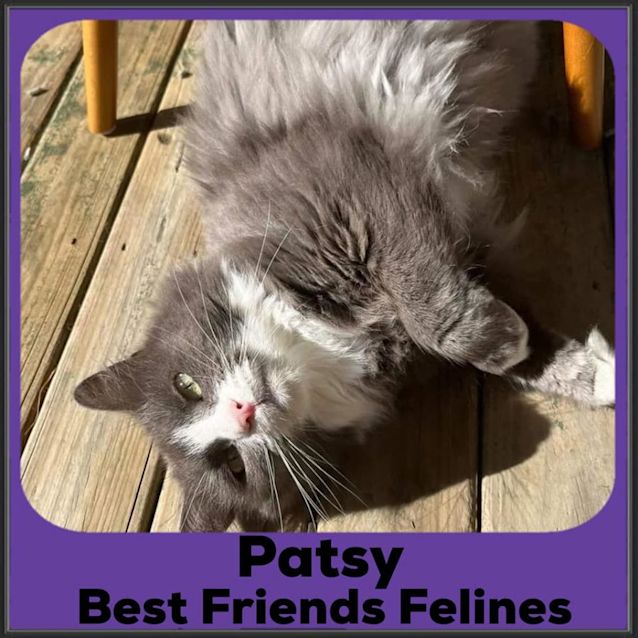 Photo of Patsy 