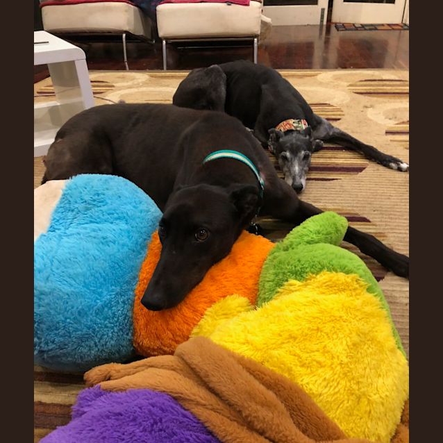 Photo of Flynn