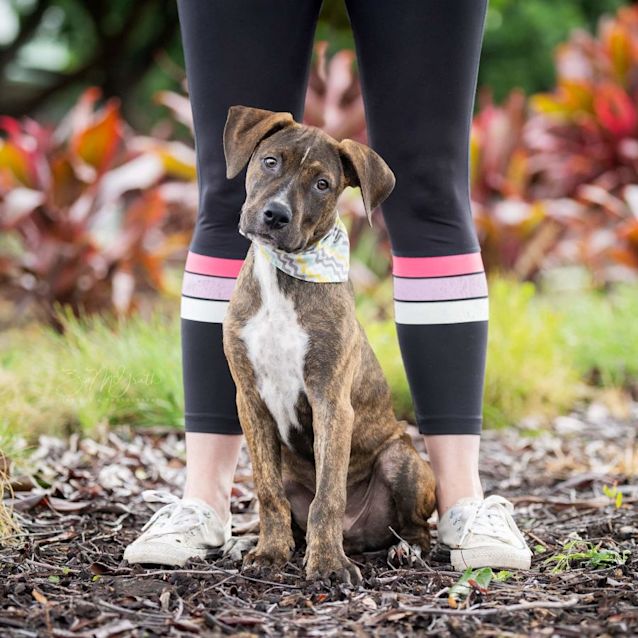 Photo of Little Foot