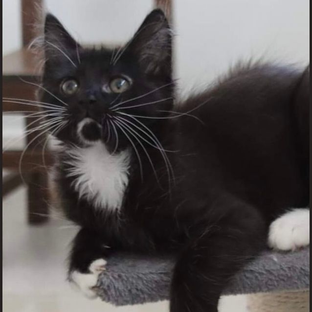 Photo of Colby❤️💙❤️