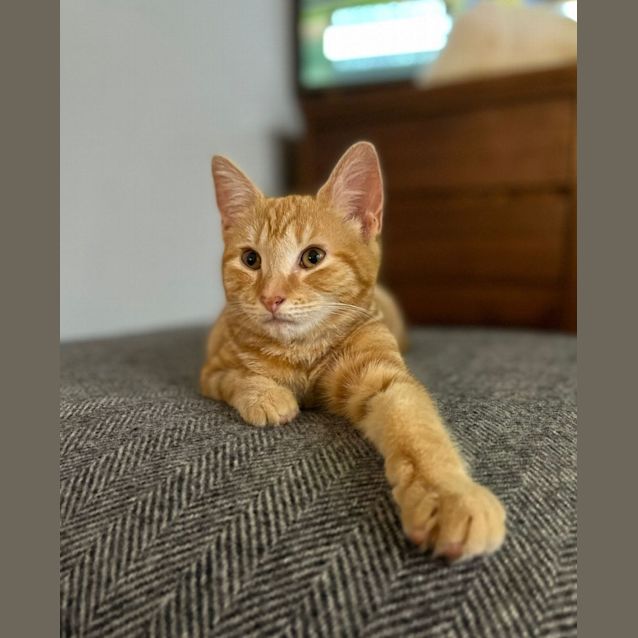 Photo of Sansa