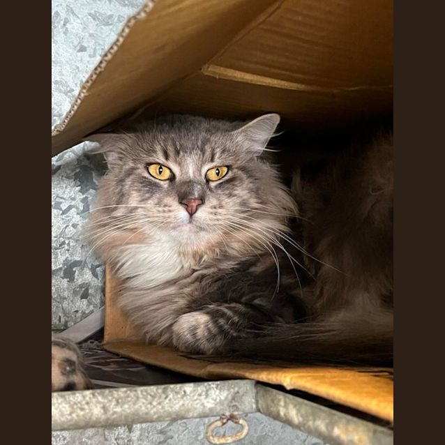 Photo of Watson