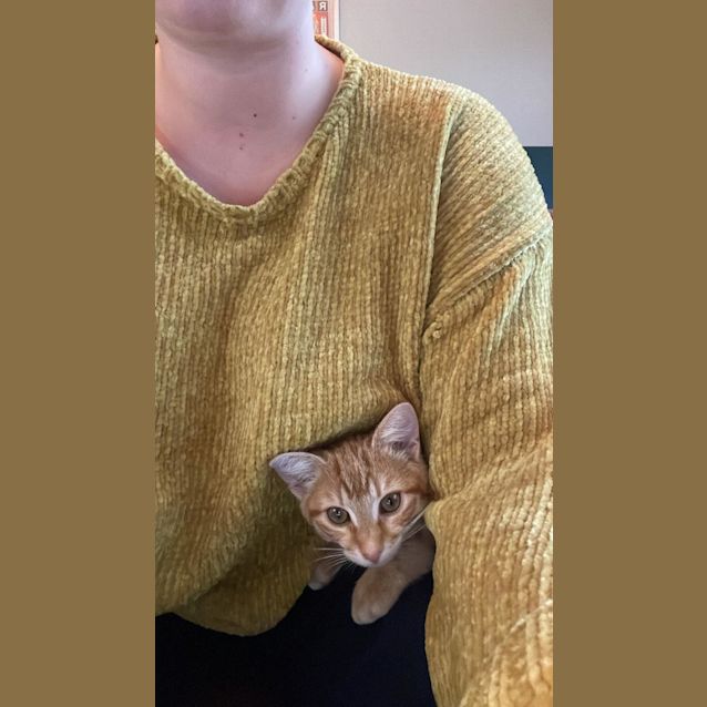 Photo of Chloe And Soleil