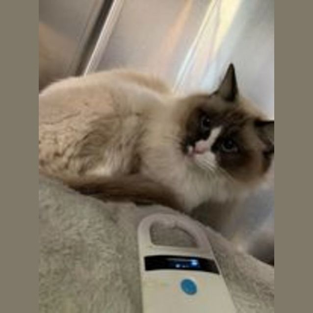 Photo of Lilly