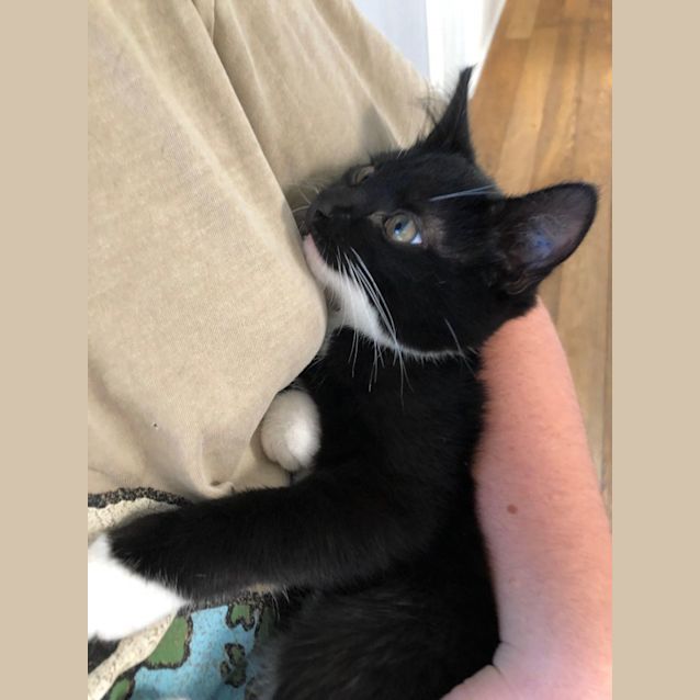 Photo of Mint And Thyme