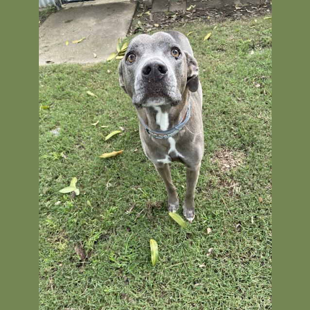 Photo of Duke