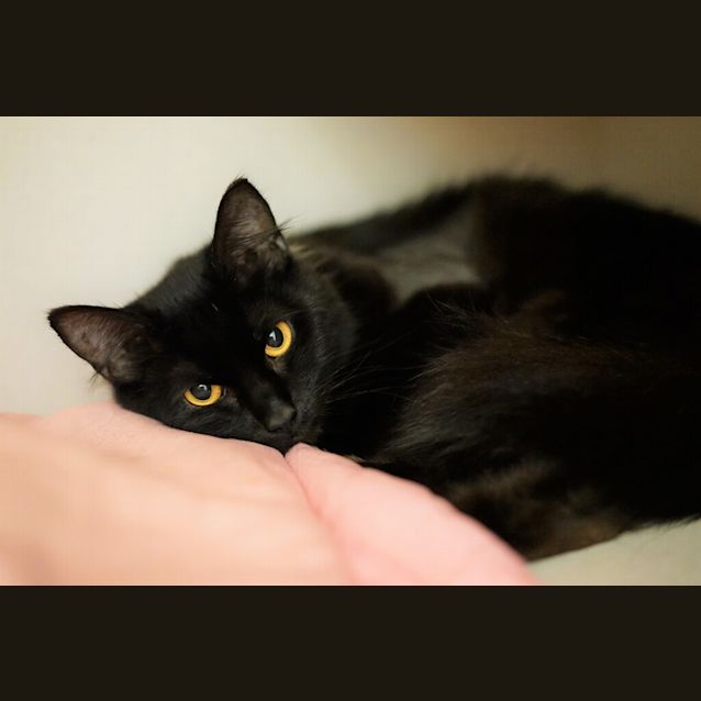 Photo of Wendy