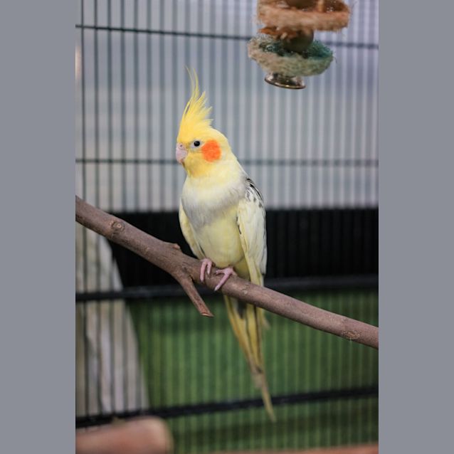 Photo of Pretty Boy