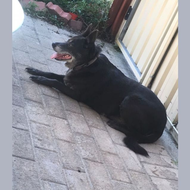 Photo of Lolly Dl2873