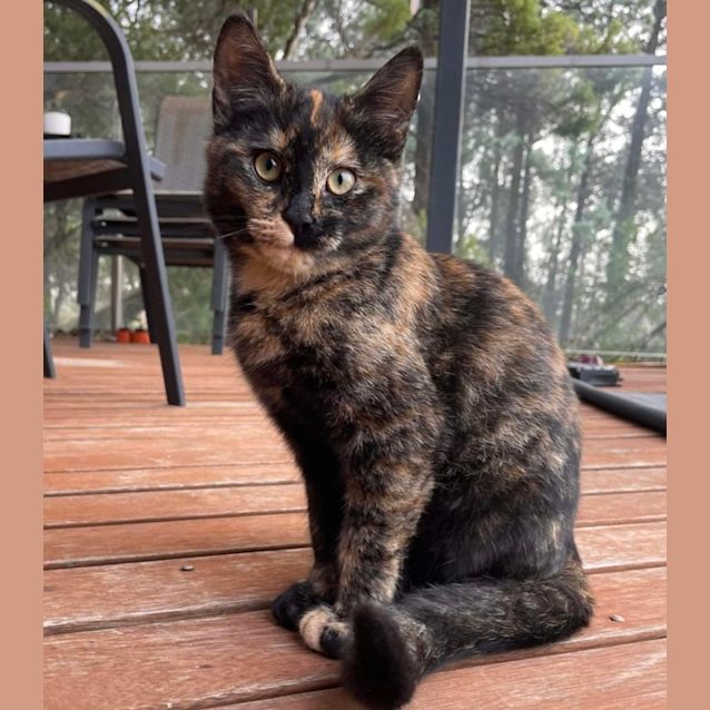 Photo of Hermione 