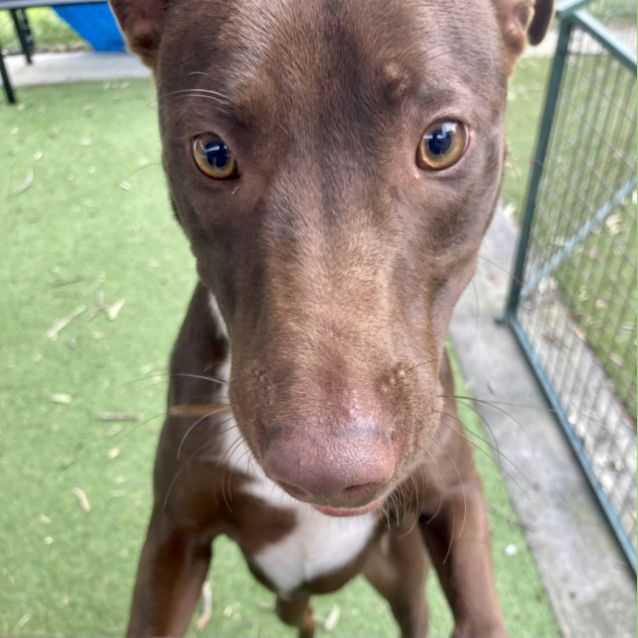 Photo of D662 Charlie