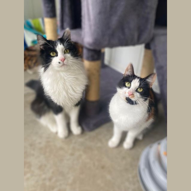 Photo of Jeremy And Dora