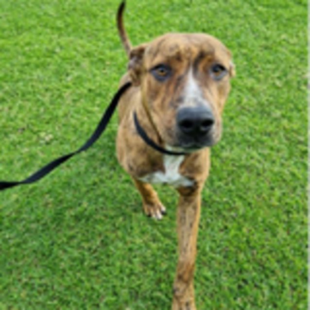 Photo of Axel Dl2856