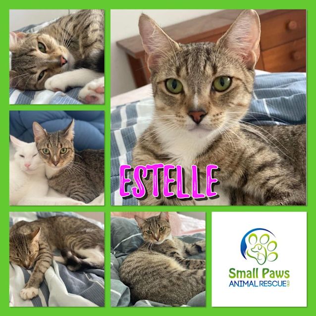 Photo of Estelle 