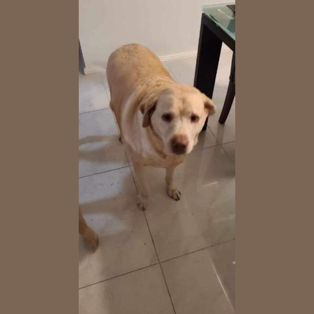 Photo of Kina & Pipi