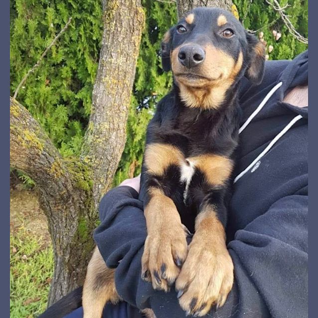 Photo of Ernie 