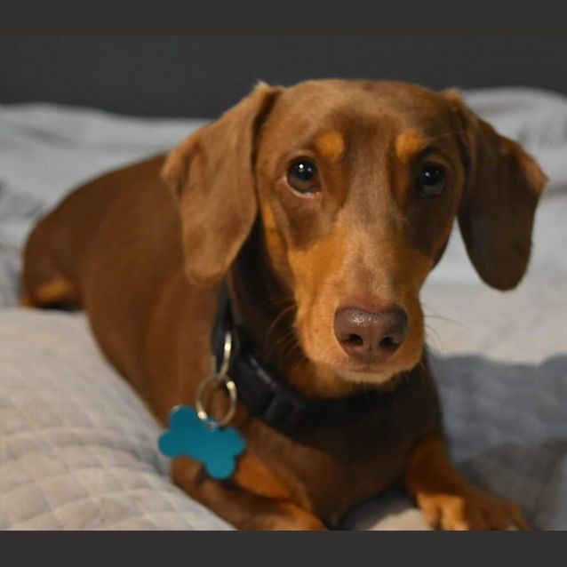 Photo of Trousers & Sneakers