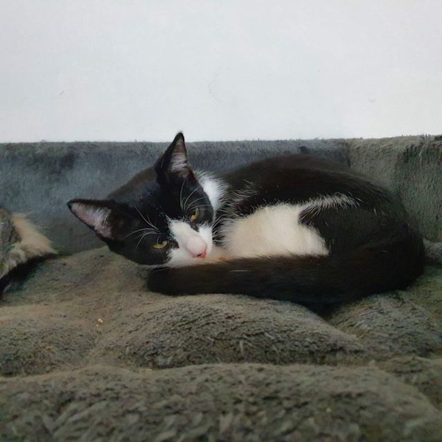 Photo of Jasper