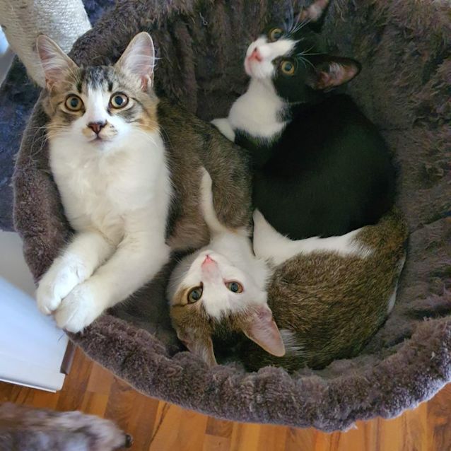 Photo of Jasper