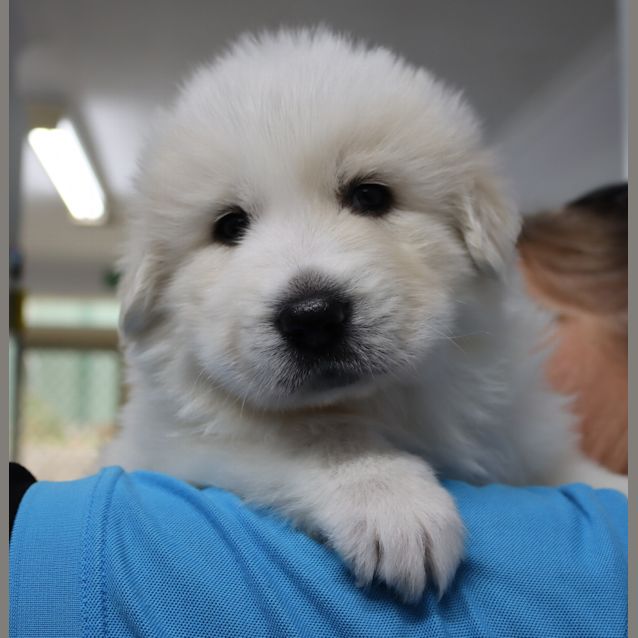Photo of Plutarch