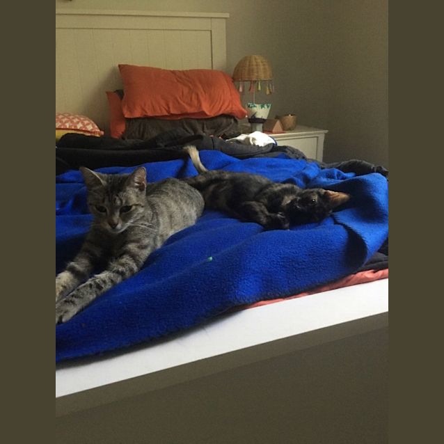 Photo of Lilly And Lexi