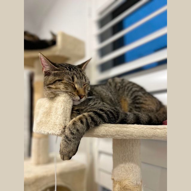 Photo of Pepper And Thomas 