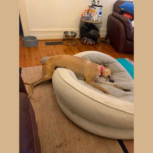 Photo of Peggy