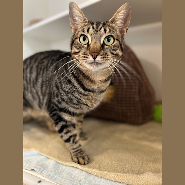 Photo of Clyde