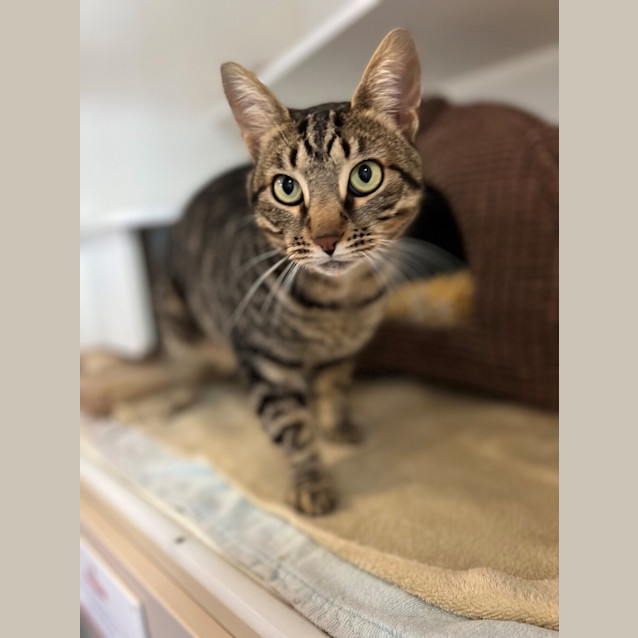Photo of Clyde