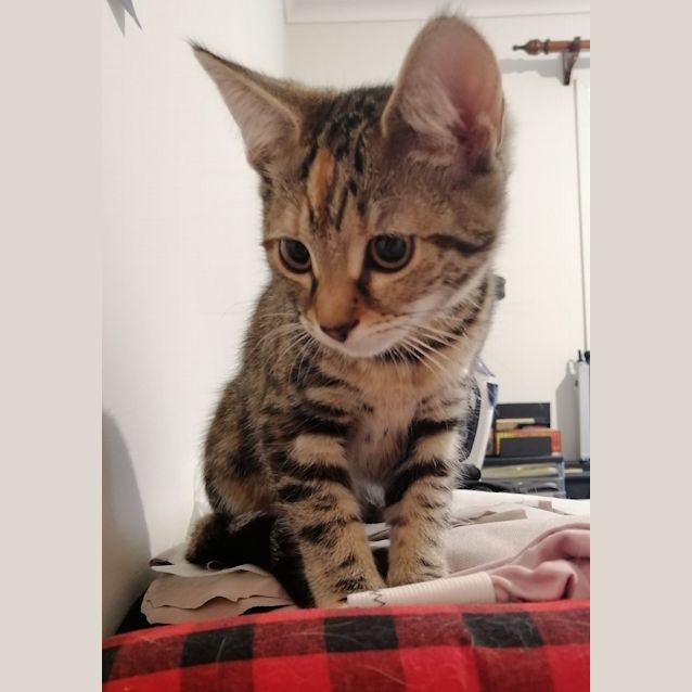 Photo of Rita