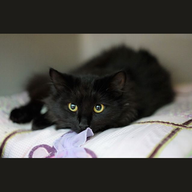 Photo of Minky