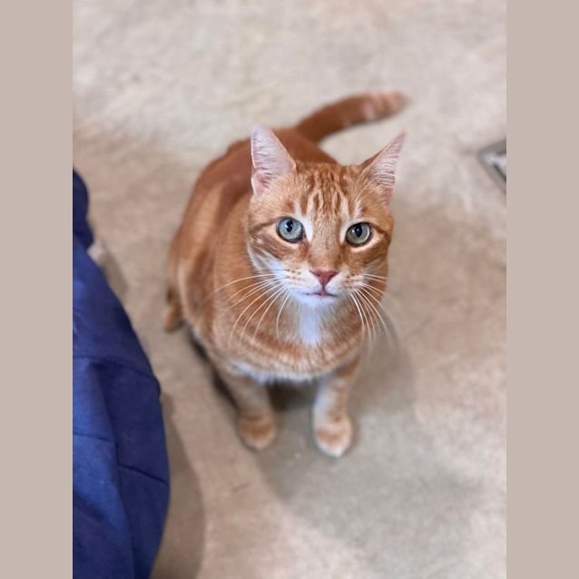 Photo of Jessie