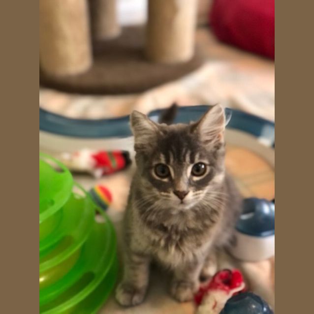Photo of Barnaby   Located In Preston