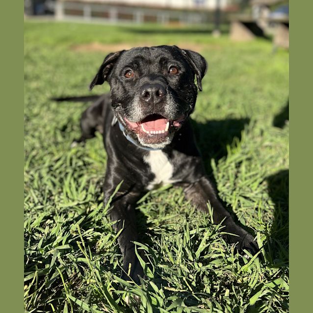 Photo of Tyson