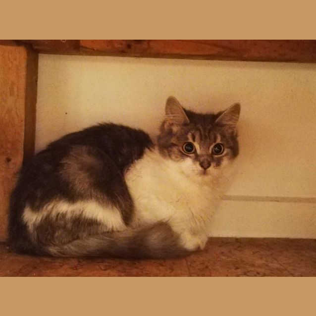 Photo of Peter Pan & Wendy