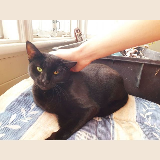 Photo of Beatrice