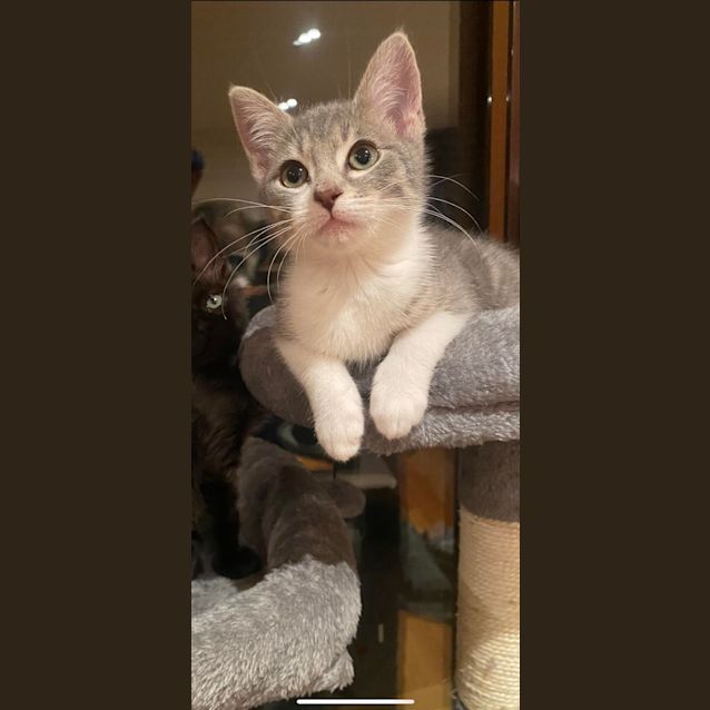 Photo of Tammy   Located In Kew