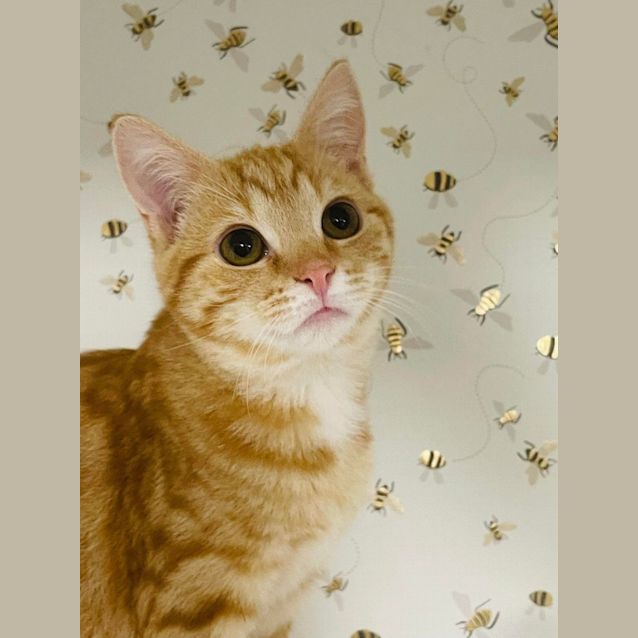Photo of Carly   Located In Preston