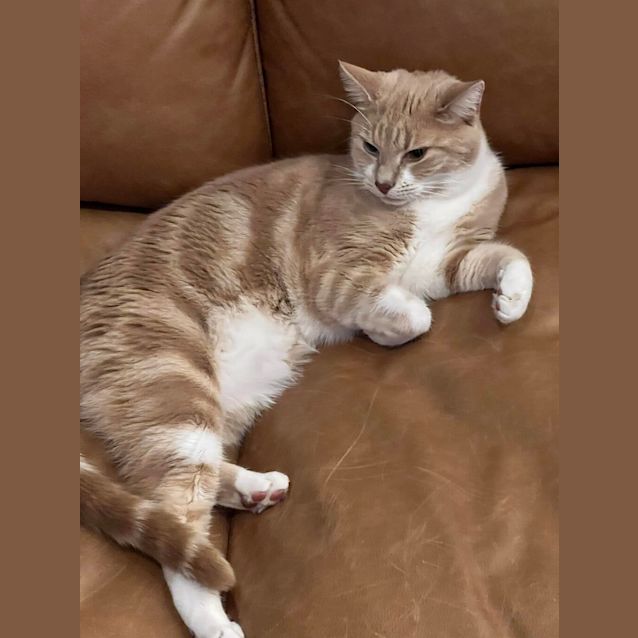 Photo of Fez