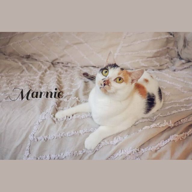 Photo of Marnie