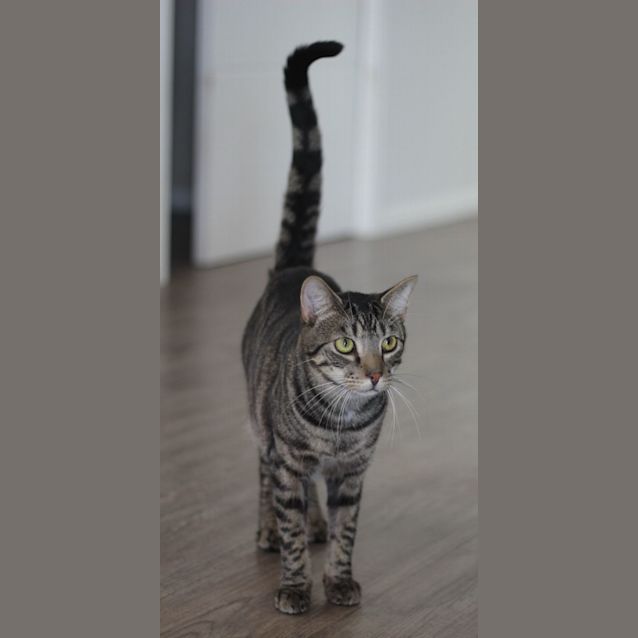 Photo of Oliver 