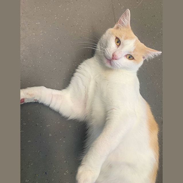 Photo of Jessie Rsua009089